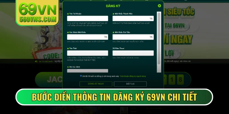 Bước điền thông tin đăng ký 69VN chi tiết
