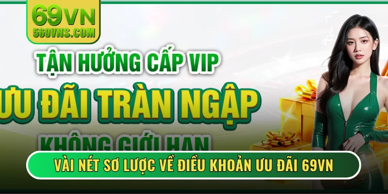 Vài nét sơ lược về điều khoản ưu đãi 69VN